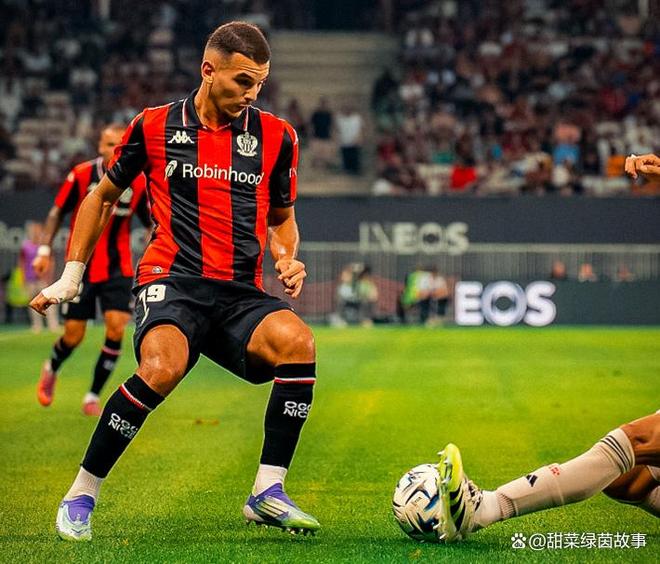 开云体育官网入口-尼斯遭遇失利，法甲战绩再添一败